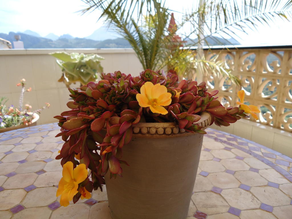 Sella Villa Pico - Charming B&B المظهر الخارجي الصورة